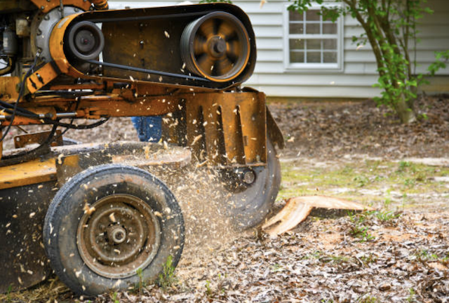 stump grinding Oak Park ca